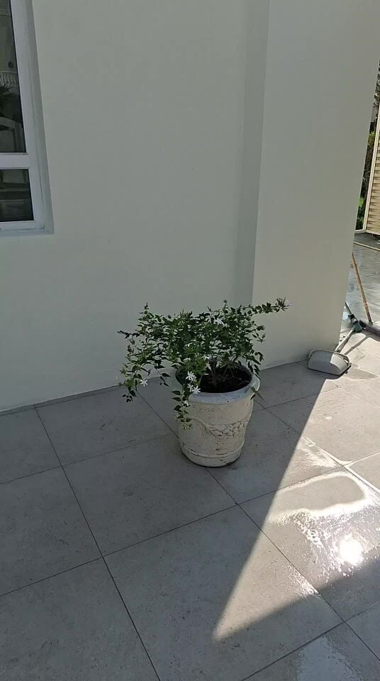 احواض