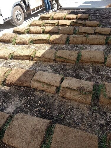 تركيب العشب وعمل شبكات الري