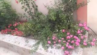 مزارع