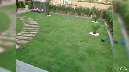 زراع