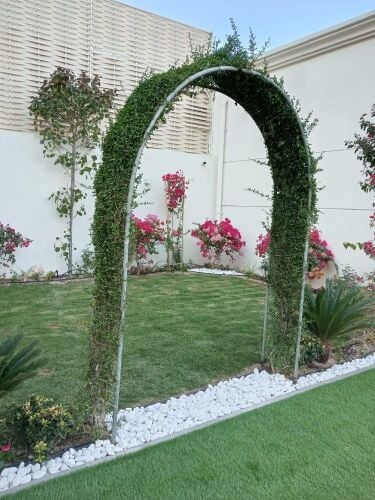 مزارع