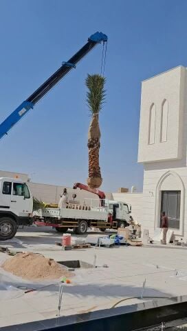 نخال