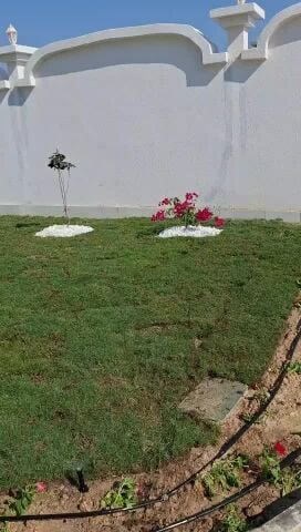 زراع