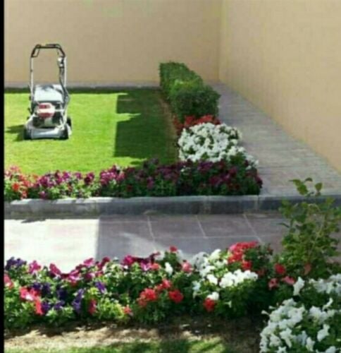 تنسيق الحدائق