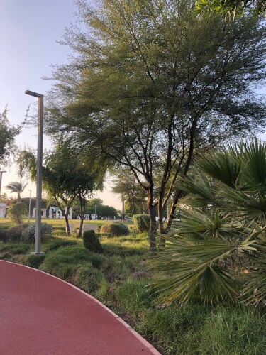 مصممة جرافيك ديزاين 