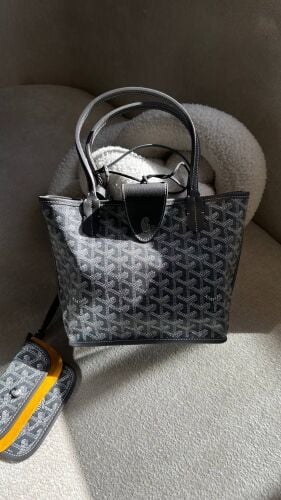 Goyard Anjou PM Bag