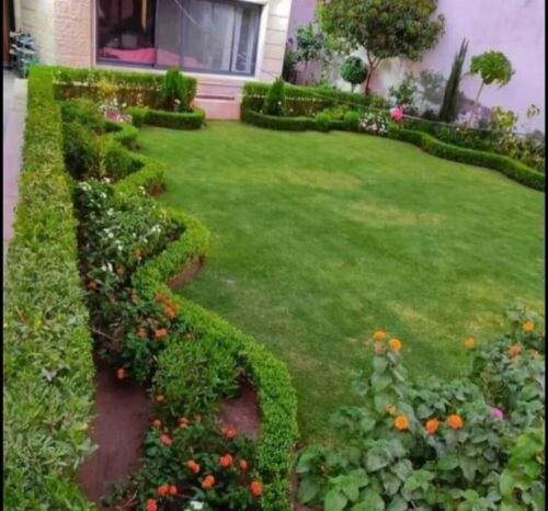 تنسيق وترتيب الحدائق