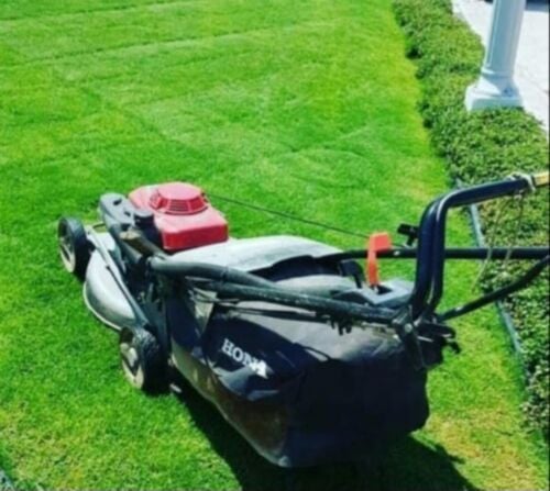 صيانة وترتيب الحدائق