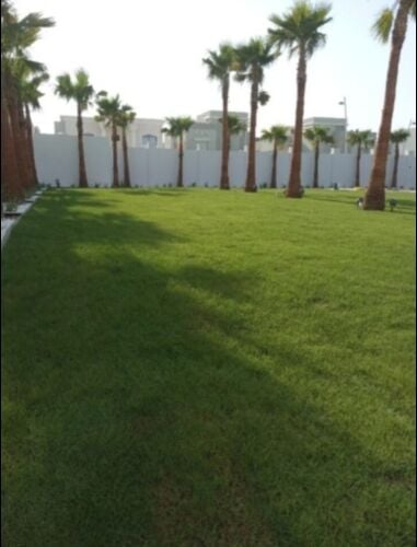 العنايه بالحدائق