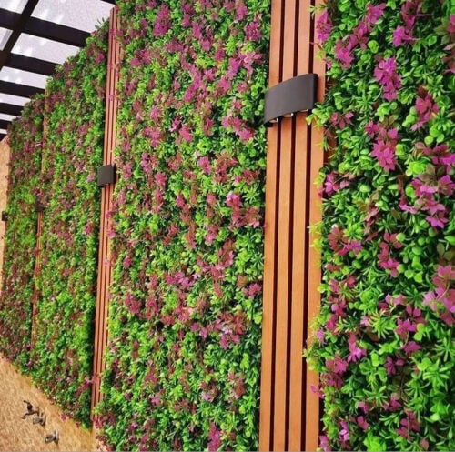 ديكورات وأثاث الجدران الخارجية
