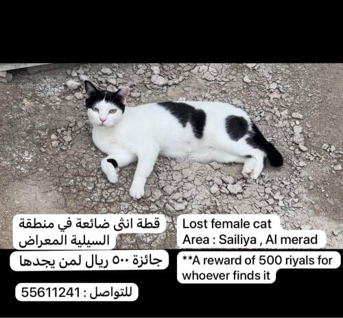 missing 