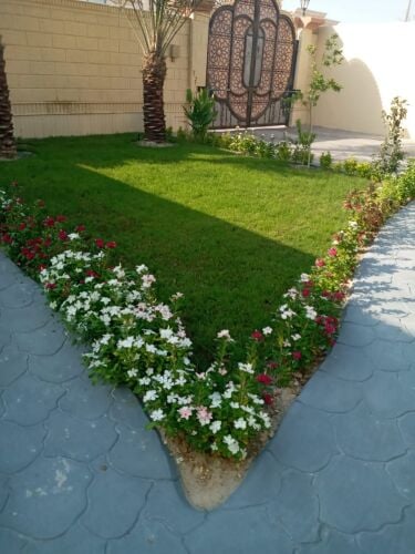 مزراع وتنسيق الحدائق