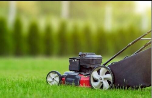 تنسيق الحدائق