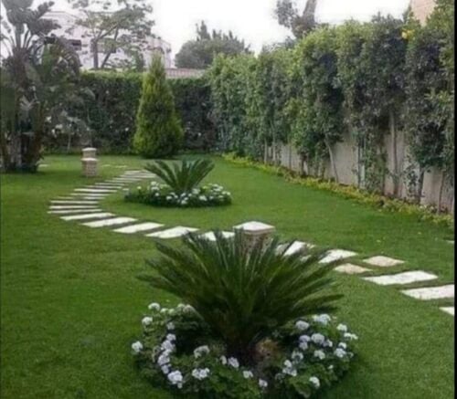 العنايه بالحدائق