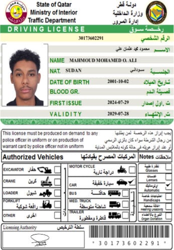 محمود محمد عثمان علي