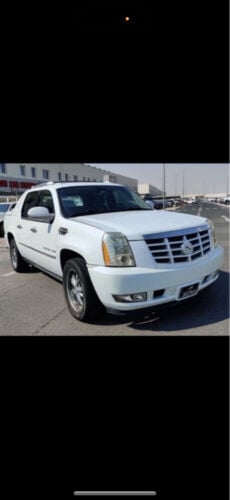 اسكاليد ٢٠٠٨