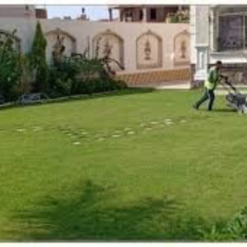 زراعه