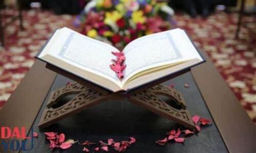 محفظ قرآن كريم وتجويده