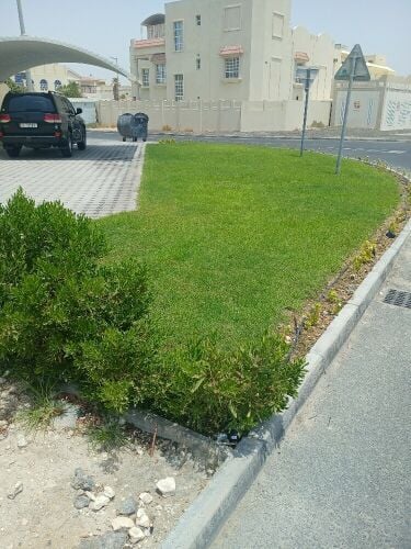 تصميم وتنفيذ الحدائق