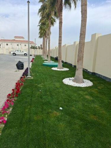 زراعة العشب والوشنطنيه والنخيل