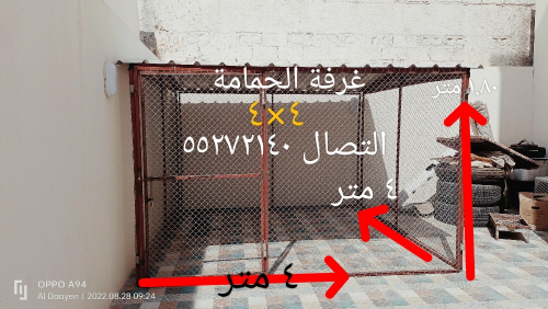 Pigeon room