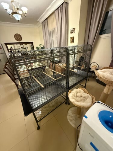MASSIVE Bird Cage