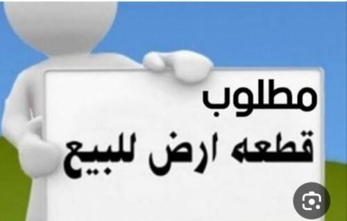 مطلوب ارض بالجميليه وماحولها