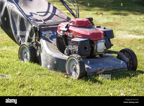 Gardening Service Available