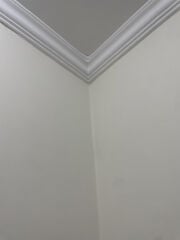 Painter