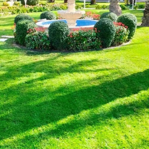 مزارع ومصمم حدائق 