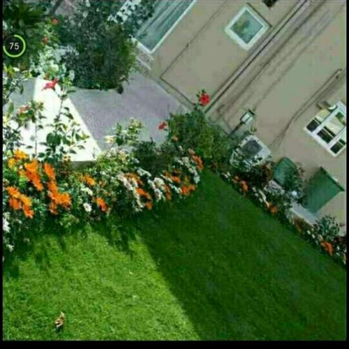 مزارع ومنسق حدائق