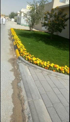 مزارع ومنسق حدائق 55079950