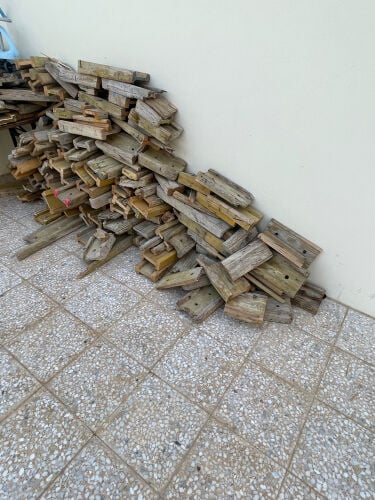 حطب 