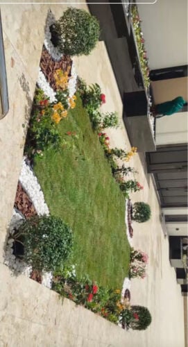 زراعة الحدائق المنزلية 