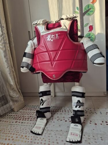 taekwondo protection equipment
