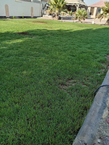 زراعه وتنسيق الحدئق 