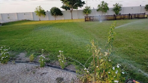 تنفيذ وتنسيق الحدائق 