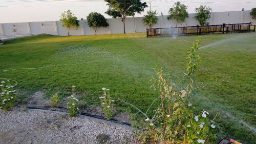 توريدوزراعه العشب الطبيعي والصناع