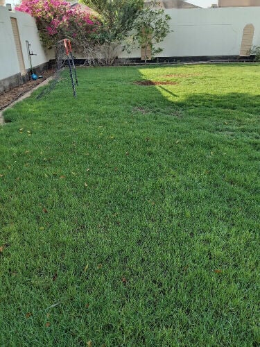 توريد العشب الطبيعي والصناعي