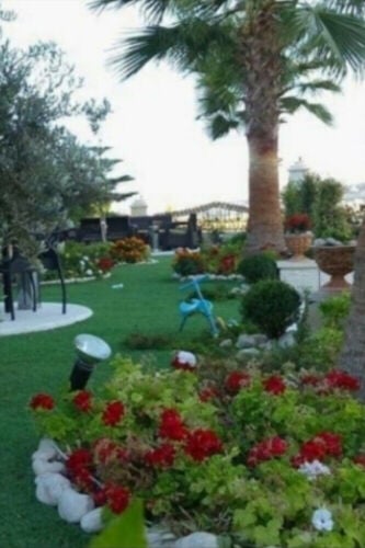 تصميم وتنفيذ وتنسيق الحدائق