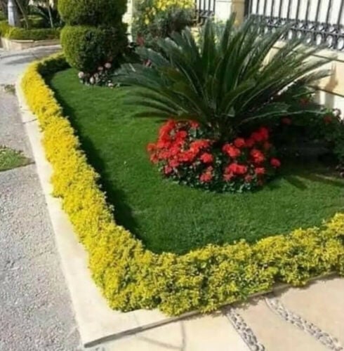 زراعه وتنسيق الحدائق