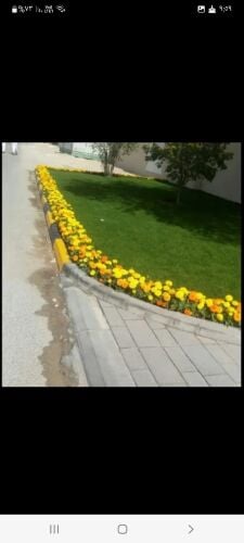 مزارع