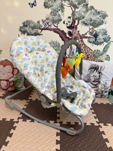 baby bouncer Juniors