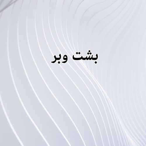 بشت وبر