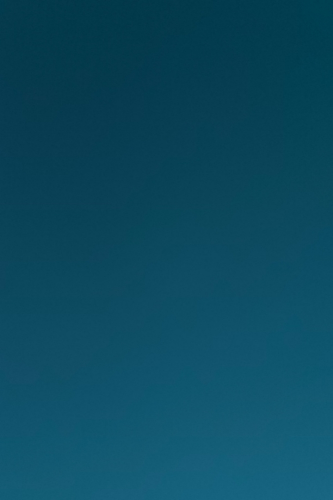 معلمة لغه عربيه