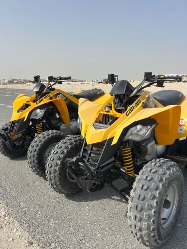 can am 250 cc for rent 