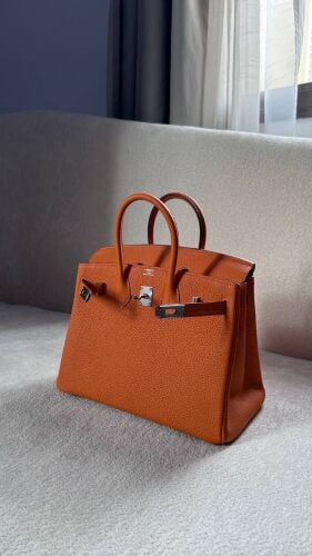 Hermes Birkin 25 Togo Orange