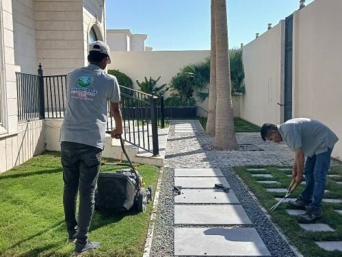 Geen mirage landscape & garden