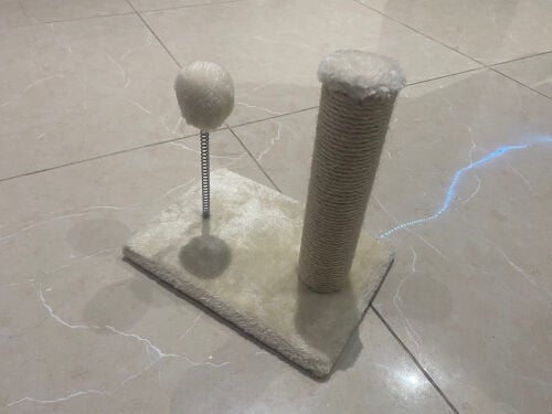خداشه قطط