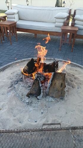 حطب زيتون اسباني